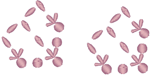 Hungarian Embroidery: Zalai Flower Bud Accent Embroidery Design