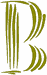 Machine Embroidery Designs: Claw Marks Alphabet B